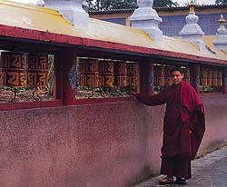 Why Sikkim works