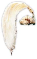 A constitutional crown