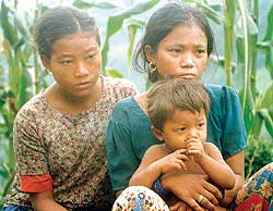 1,500 orphans