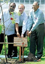 Lessons from Lanka