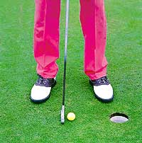 Basic golf