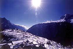 Winter wonderland