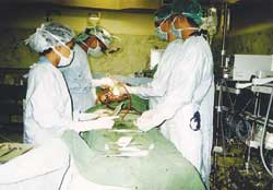 In our doctors we trust