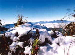 Happenings - Issue #177: WHITE CHRISTMAS