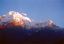Landruk