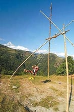 Boy on a swing
