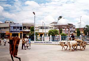 Rajbiraj revisited
