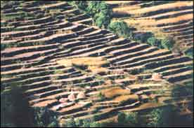 The third war in Nepal