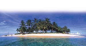 The Beach