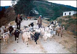 Achham’s agony