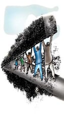 Seeing the forest for the trees
