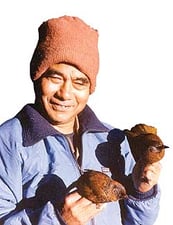 Hari Sharan nipalensis