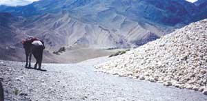 The road to Lo Manthang