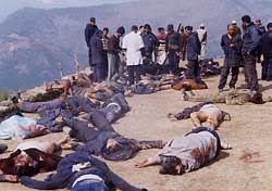 Stop the carnage and talk