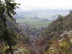A national park comes to the capital