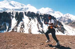 They ran up another mountain, and what do you think they saw?