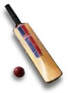 Nepali cricket
