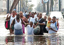 Managing disaster