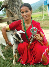 The Castrator
