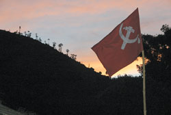 Bloody sunrise