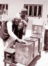Poll vault