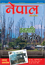 Forces in forests