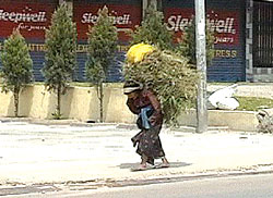 Nepali ama
