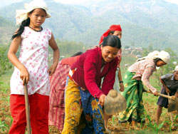 At the crossroads in Nawalparasi