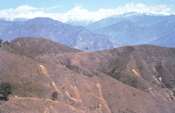 The greening of Nepal