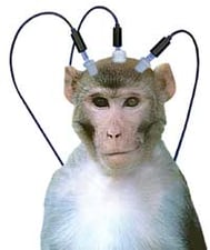 Learning to live with sensors