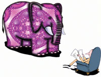 Elephant in the room