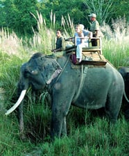Tourism blues
