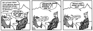 Yak Yeti Yak - Issue #317