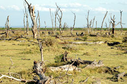 Nature's fury