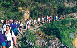 Guiding a revival