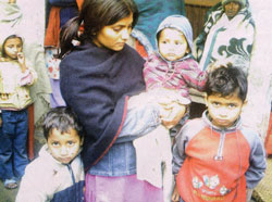 Tarai violence