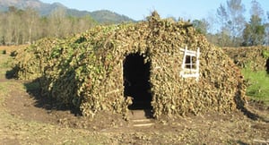 Camp chaos
