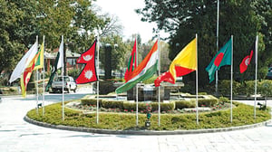 Happenings - Issue #338: FLAG-WAVING