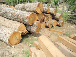 Logging in