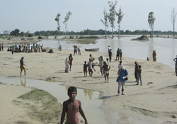 Fleeing the flood