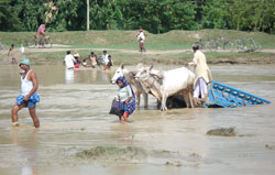 Building bridges in the madhes