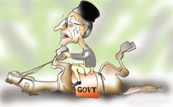 Cart before the horse