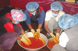 Sagarmatha's superfruit