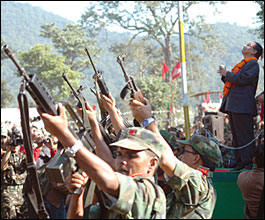 Farewell to arms?