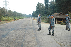 The tarai card