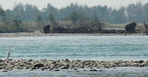Bardiya’s peace dividend