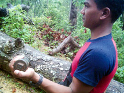 Progressive demining