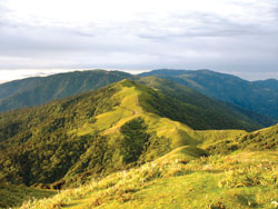 Saving a botanists’ paradise