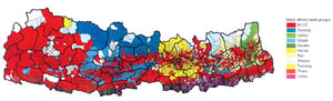 Mapping a mosaic