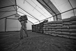 Food insecurity